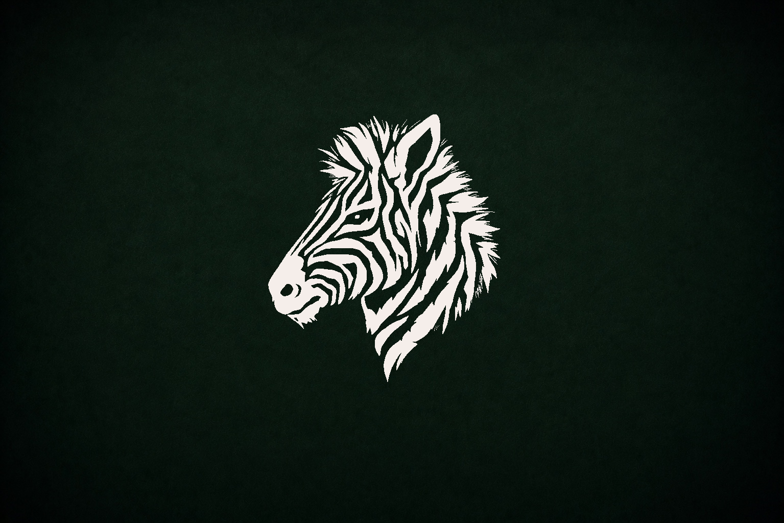Zebra House - Clown Type Hoodie Coming Soon product view